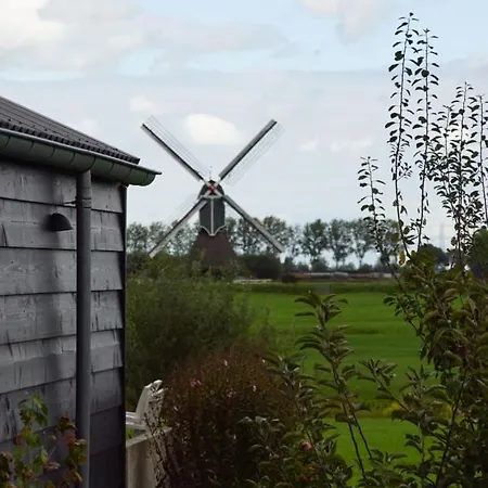 Vertoeven Bij Verhoeven