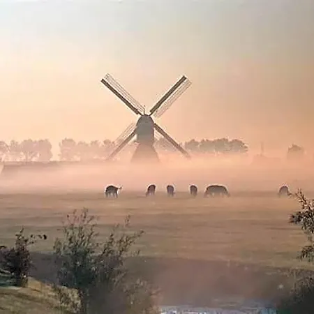 Vertoeven Bij Verhoeven