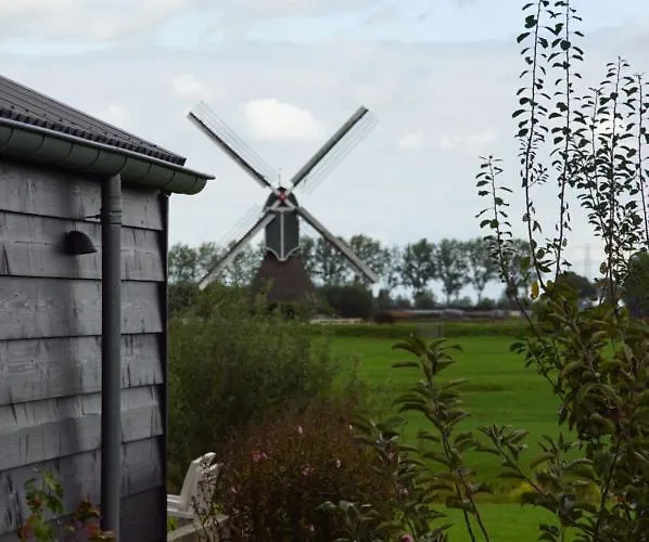 Vertoeven Bij Verhoeven